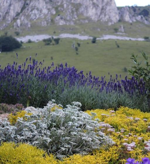 בית מלון כפרי Posto Tappa Gta Limonetto