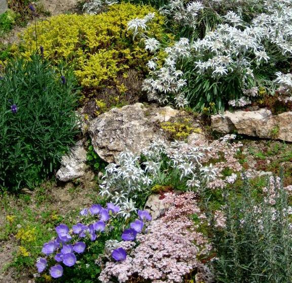 בית מלון כפרי Posto Tappa Gta Limonetto