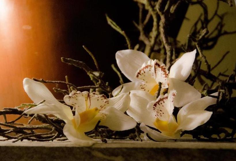 בית מלון כפרי Posto Tappa Gta Limonetto