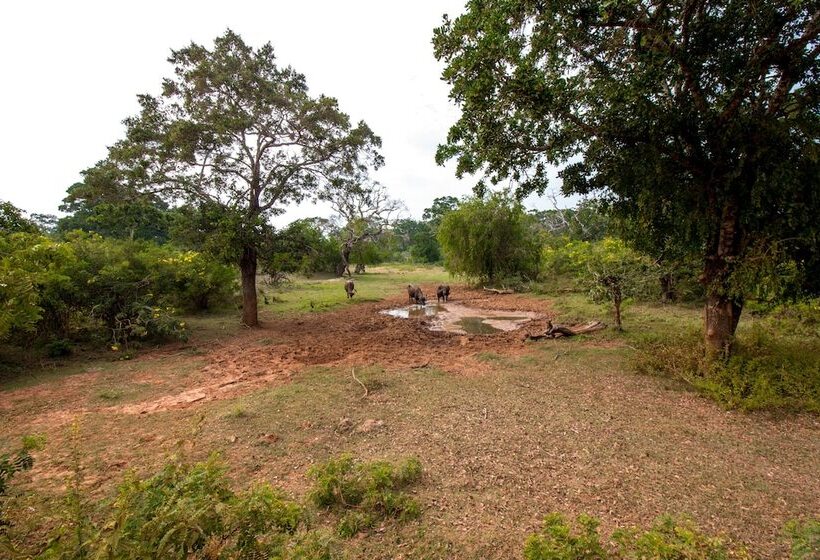 Hotelli Back Of Beyond   Safari Lodge Yala