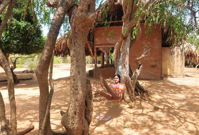 Hotelli Back Of Beyond   Safari Lodge Yala