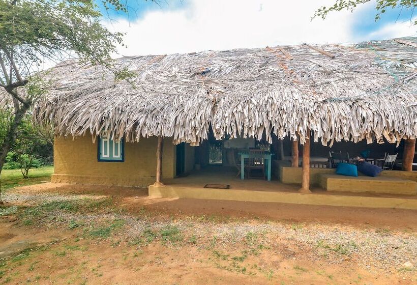 Hotelli Back Of Beyond   Safari Lodge Yala