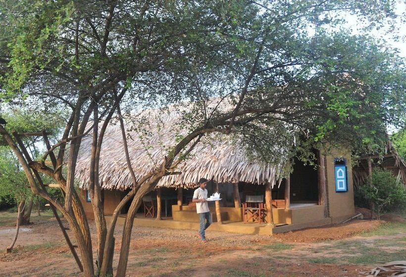 Hotelli Back Of Beyond   Safari Lodge Yala