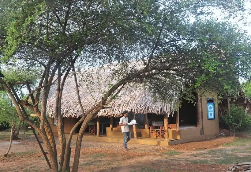 ホテル Back Of Beyond   Safari Lodge Yala