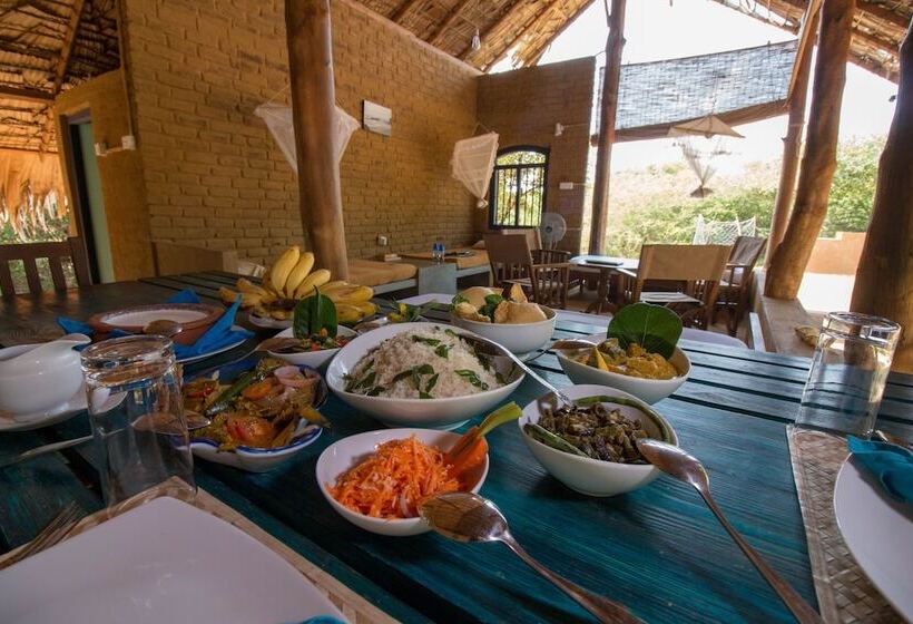 Hotelli Back Of Beyond   Safari Lodge Yala