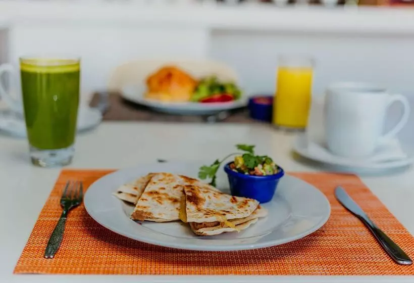 ホテル Hilton Garden Inn Silao Aeropuerto Bajio