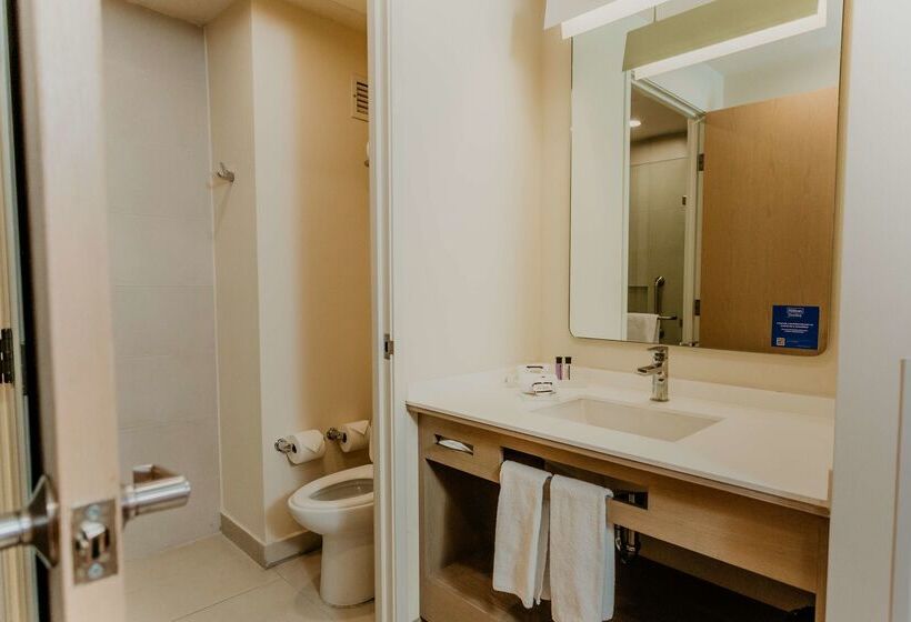 هتل Hilton Garden Inn Silao Aeropuerto Bajio