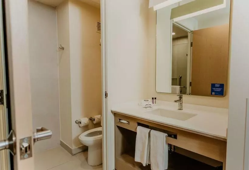 ホテル Hilton Garden Inn Silao Aeropuerto Bajio