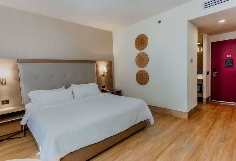 هتل Hilton Garden Inn Silao Aeropuerto Bajio