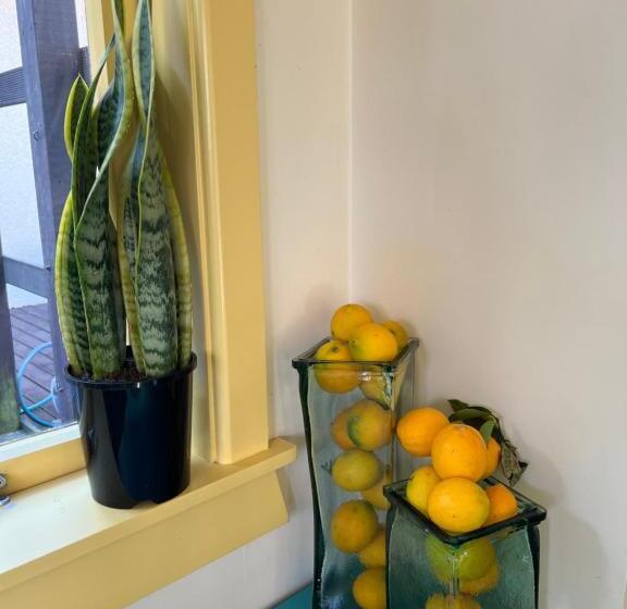 ホテル Penny S B&b Accommodation