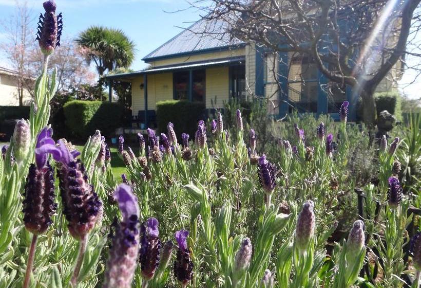 旅馆 The Old Countryhouse