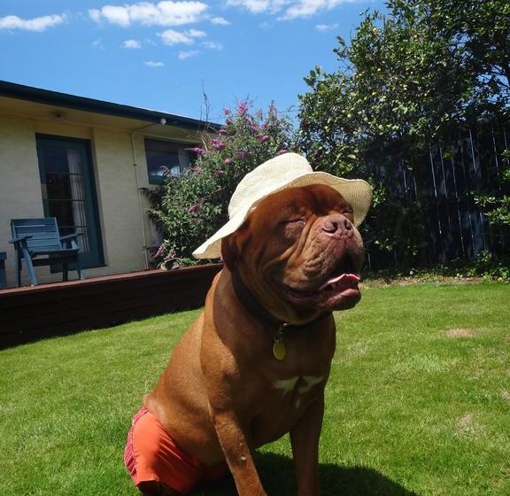 旅馆 The Old Countryhouse