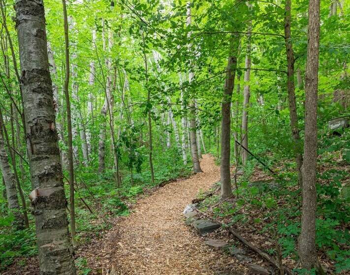 住宿加早餐  Harmony Outdoor Inn