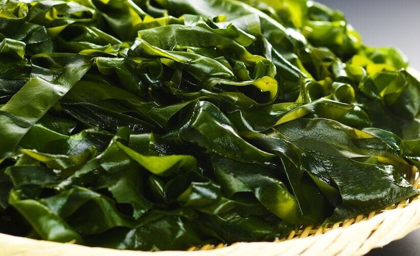 בית מלון כפרי Ace Morioka