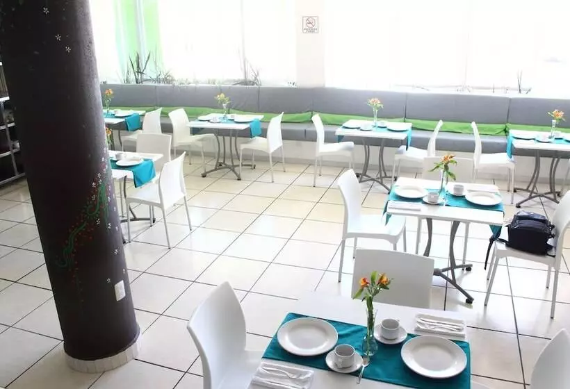 Chiapas Hotel Express