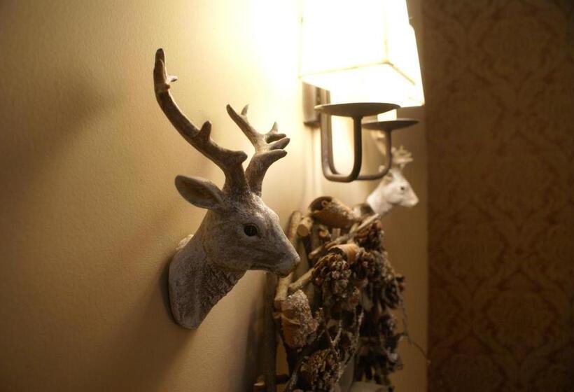 ホテル Gamila Rocks Mountain