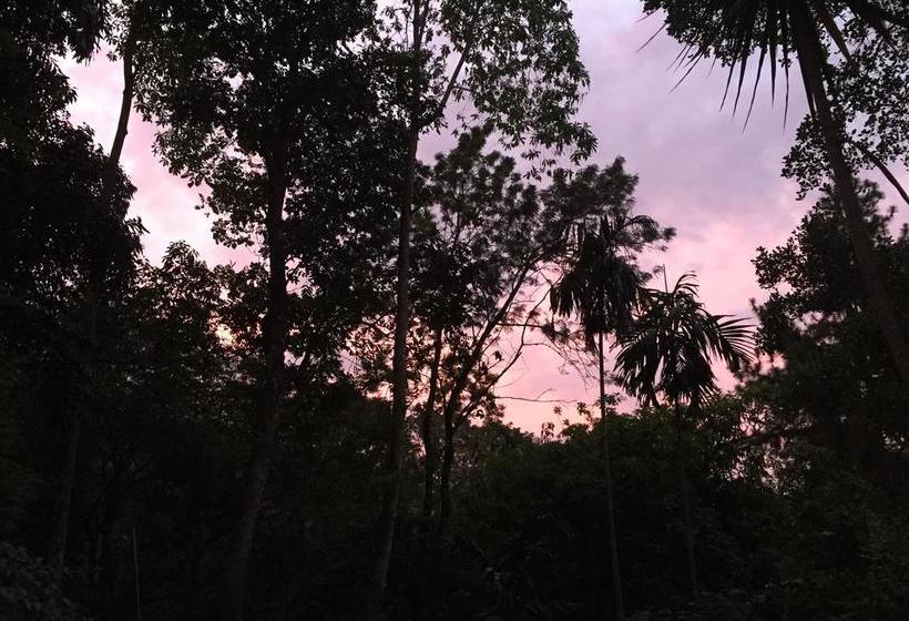 Hotel Le Leopard D 'argent