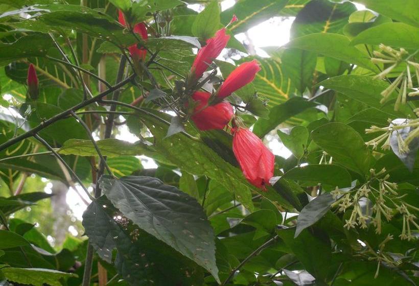 Hotel Le Leopard D 'argent