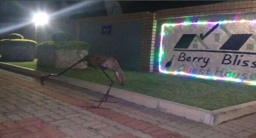 پانسیون Berry Bliss Guest House