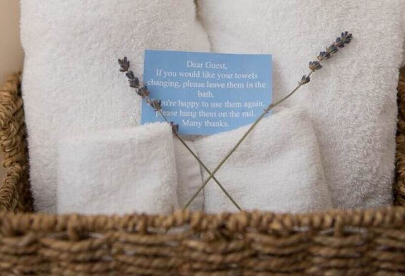 بنسيون The Lodge At Broadway