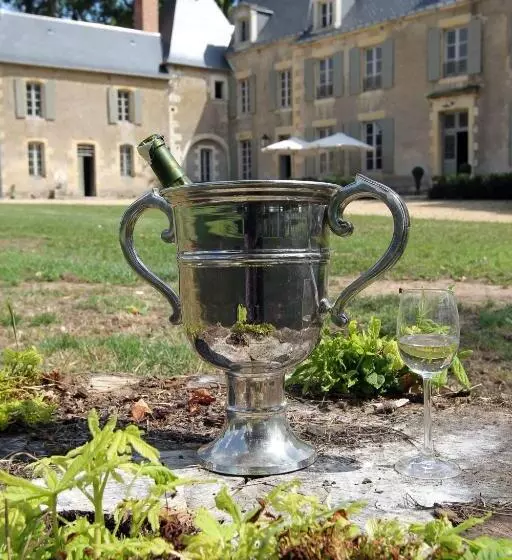 تختخواب و صبحانه Château De Planchevienne