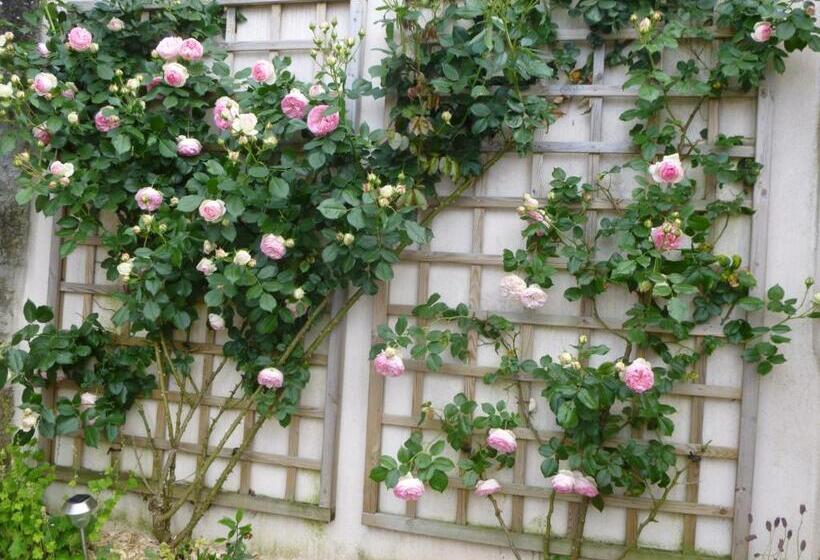 ベッドアンドブレックファースト Domaine Du Fief Aux Dames