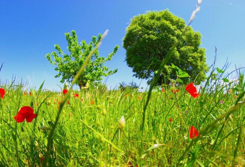 Bed and Breakfast La Rivayne