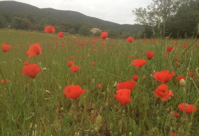 Bed and Breakfast La Rivayne