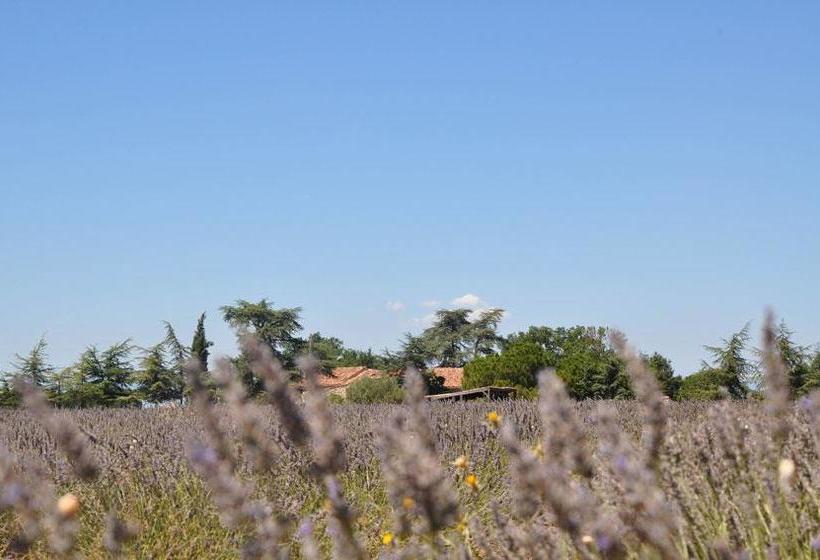 Bed and Breakfast Le Mas De La Chérine