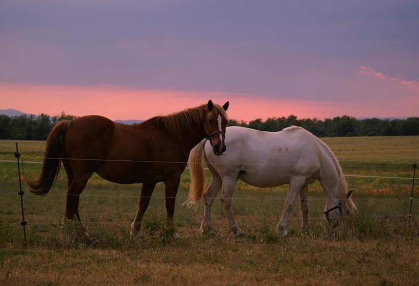 Bed and Breakfast Le Mas De La Chérine