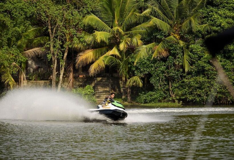 Escapade By Lvb   Hostel