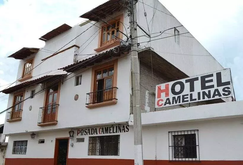 ホテル Posada Camelinas