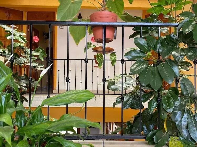 ホテル Posada Camelinas