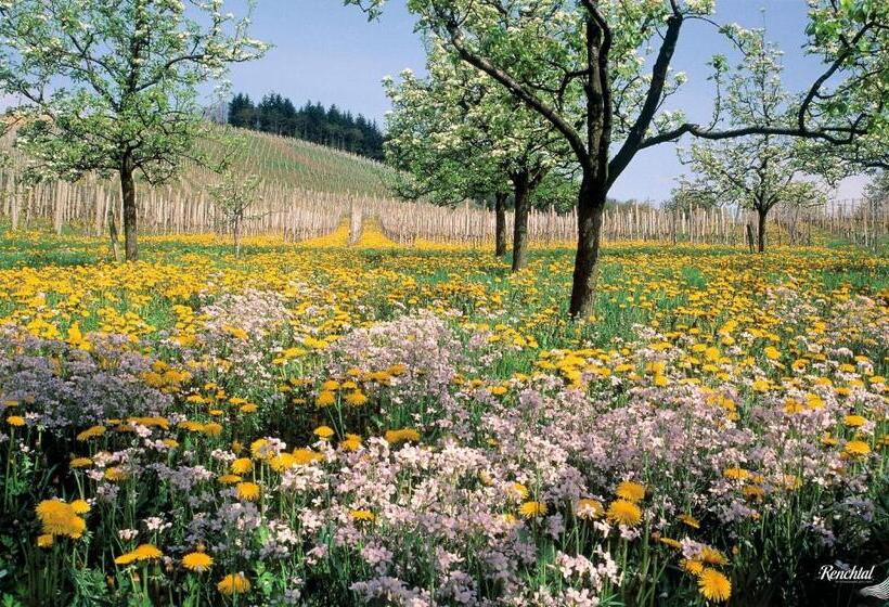 호텔 Restaurant Rebstock