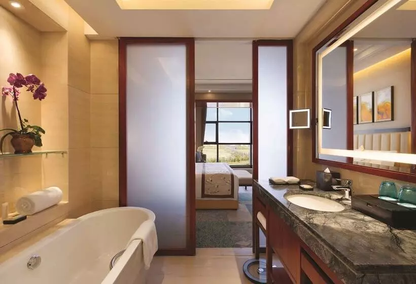 ホテル Wyndham Urumqi North