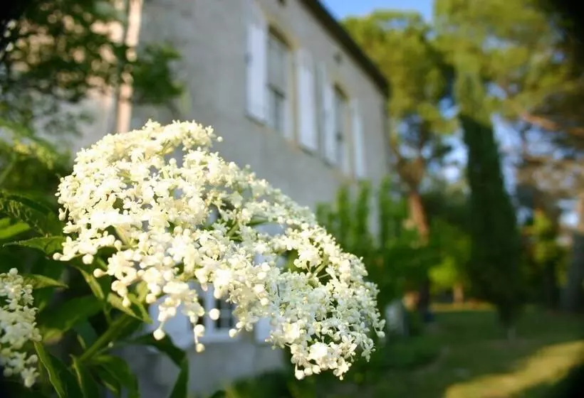ベッドアンドブレックファースト Domaine De La Brette Chambres D Hôtes
