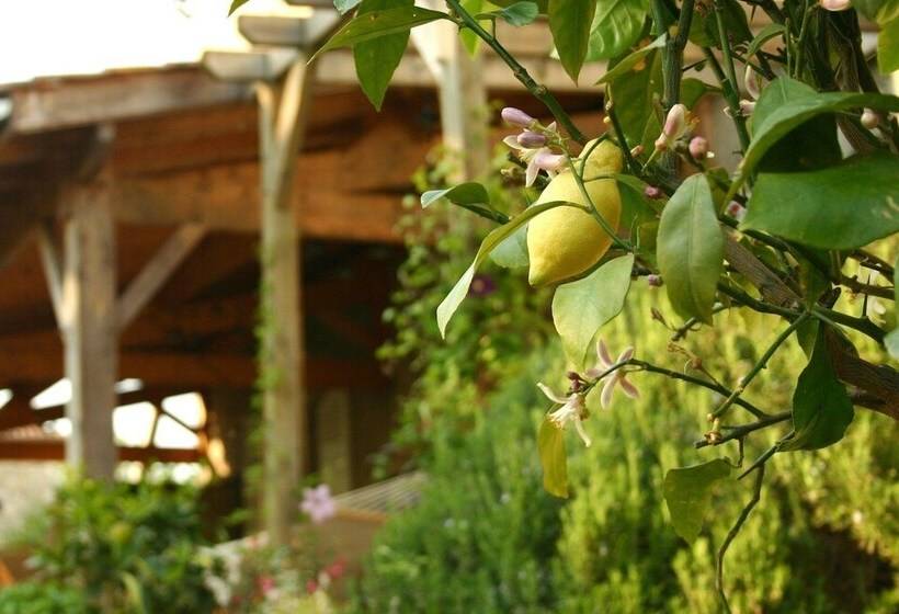 ベッドアンドブレックファースト Domaine De La Brette Chambres D Hôtes