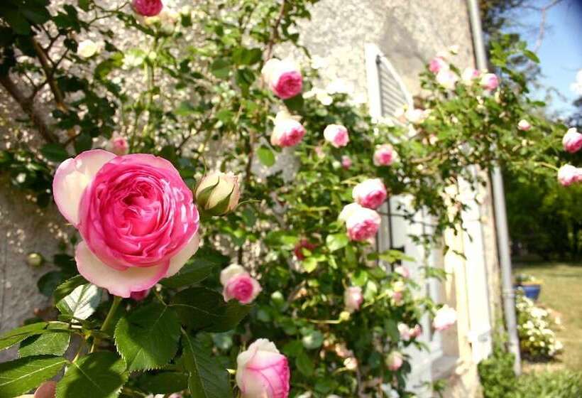 ベッドアンドブレックファースト Domaine De La Brette Chambres D Hôtes