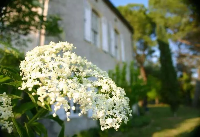 ベッドアンドブレックファースト Domaine De La Brette Chambres D Hôtes