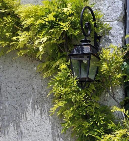 צימר Domaine De Puyrousse