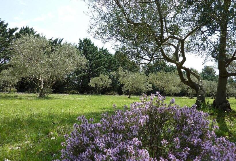 住宿加早餐  Les Mazets Du Luberon