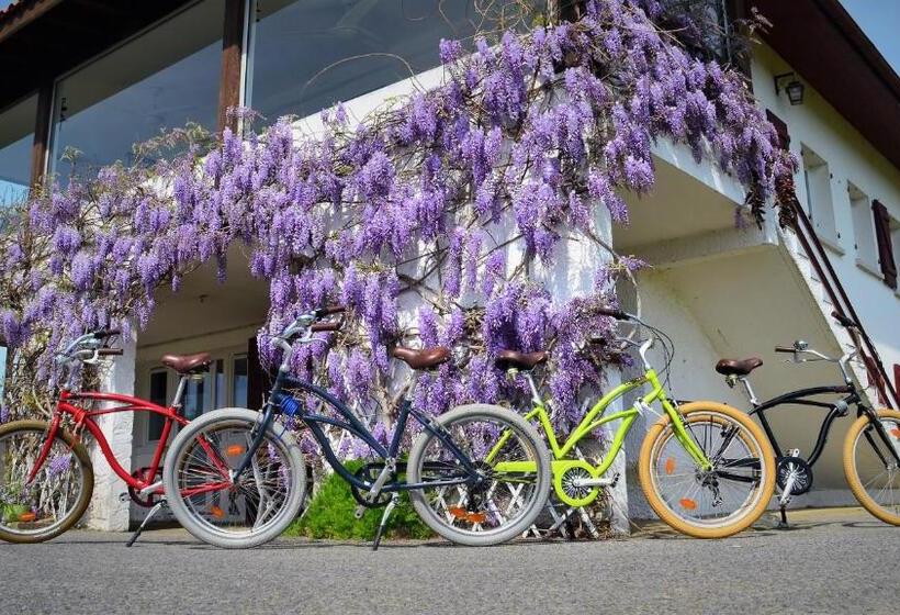 צימר Maison D Hôtes Miradour