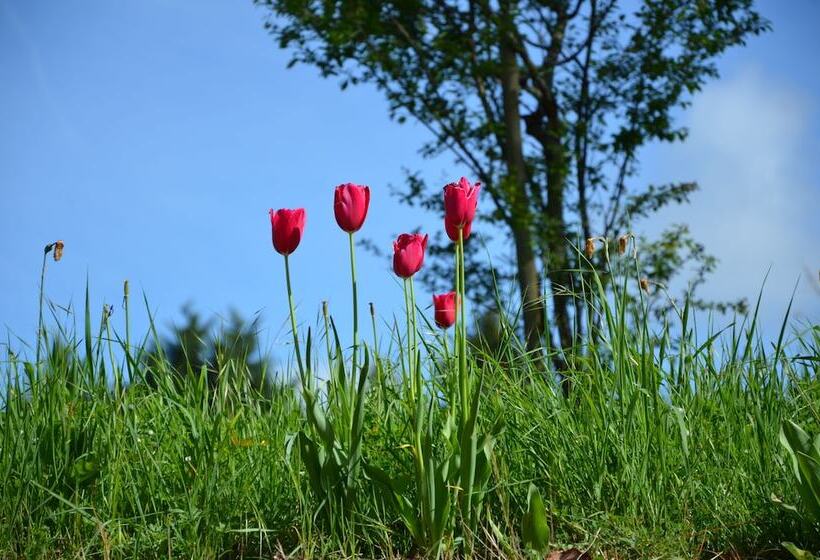 مبيت وإفطار Villa Du Cerf Thibault