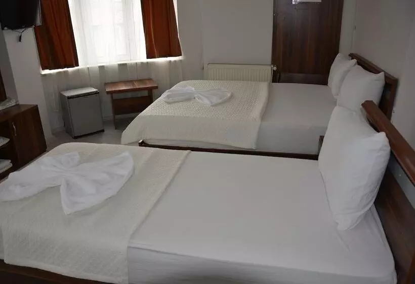 هتل Konak