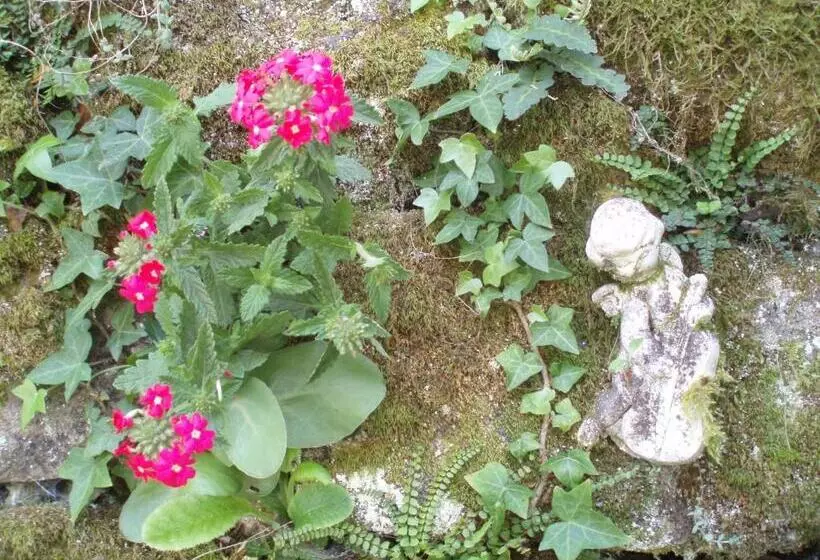 Moulin De Cornevis Bed And Breakfast