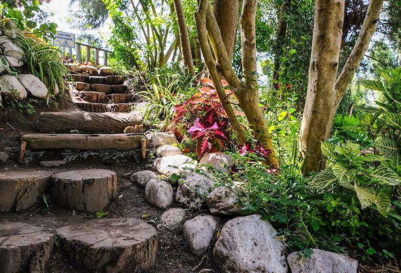 Herberg Hosteria Colibri Aeropuerto