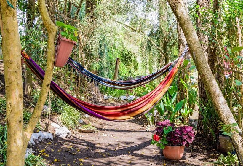 Herberg Hosteria Colibri Aeropuerto
