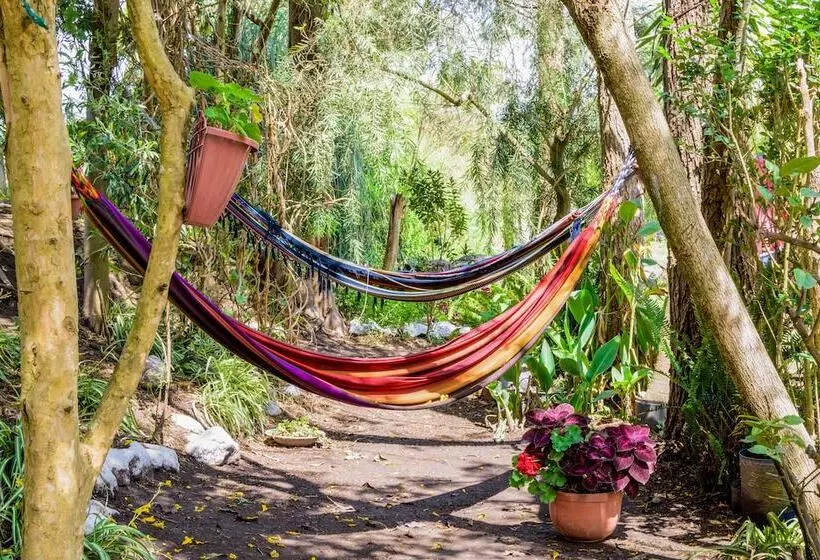 مسافرخانه Hosteria Colibri Aeropuerto