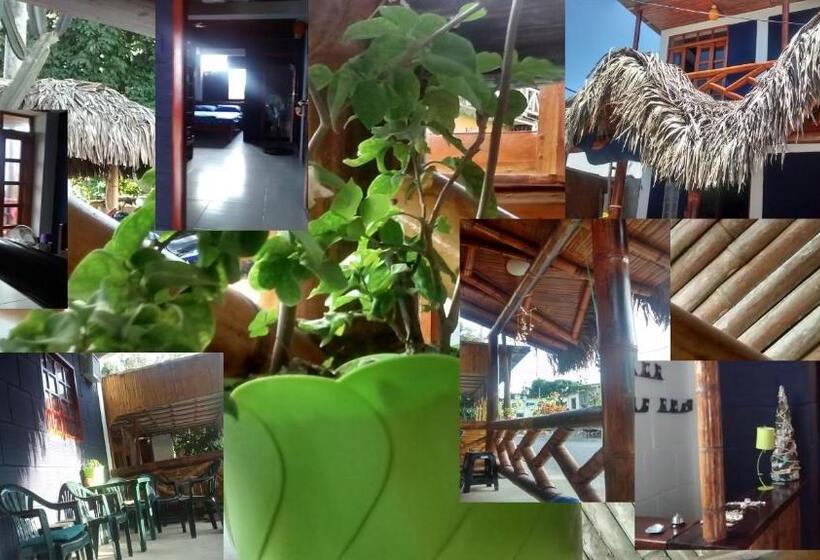 Hostel El Gran Azul Olon