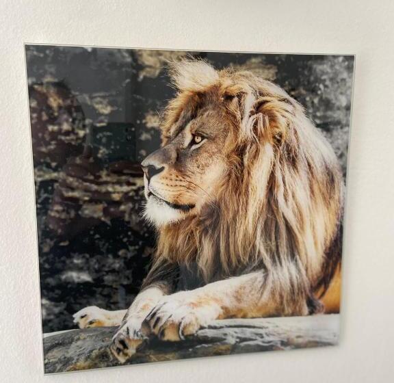 هتل Albergo 900strati